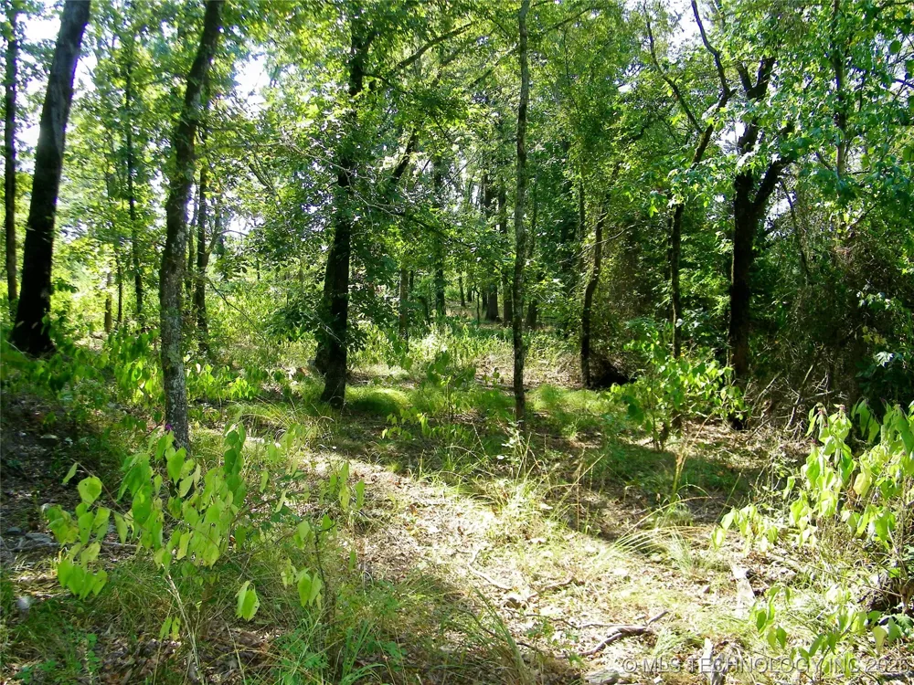 901 Sycamore Loop Broken Bow, OK 74728