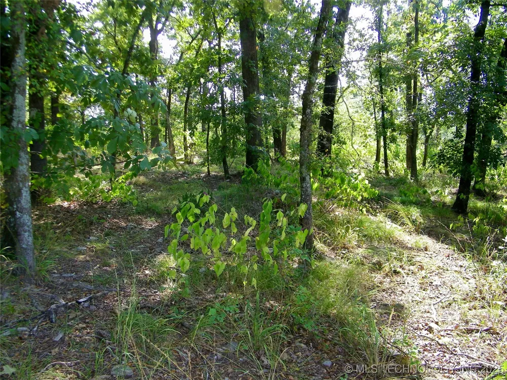 901 Sycamore Loop Broken Bow, OK 74728