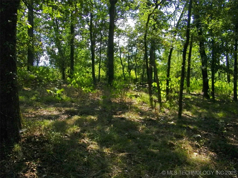 901 Sycamore Loop Broken Bow, OK 74728