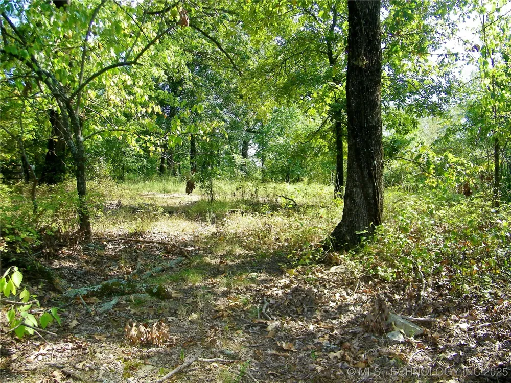 901 Sycamore Loop Broken Bow, OK 74728