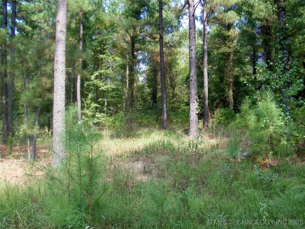 901 Sycamore Loop Broken Bow, OK 74728