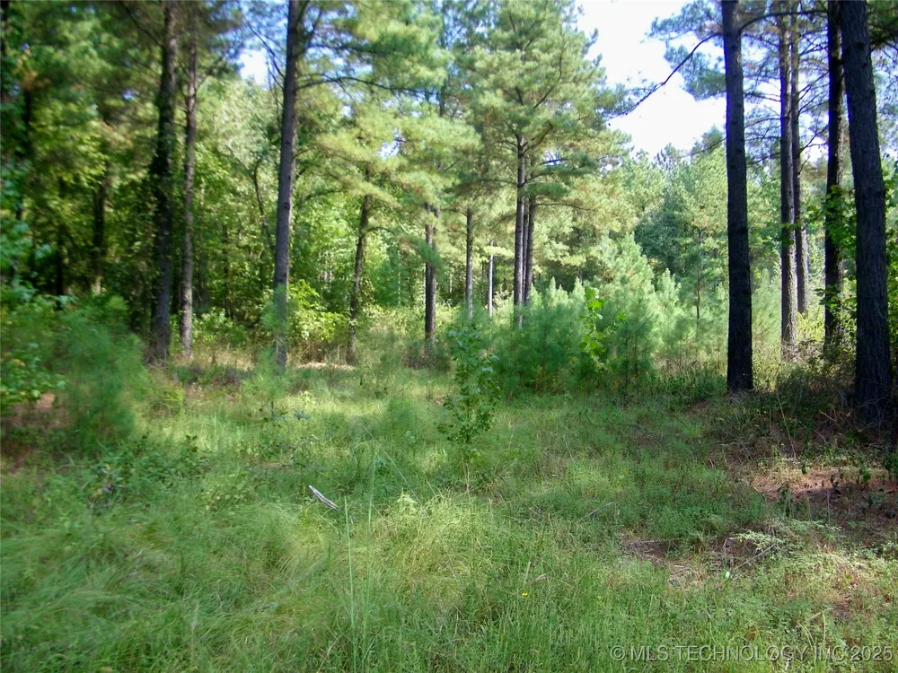 901 Sycamore Loop Broken Bow, OK 74728