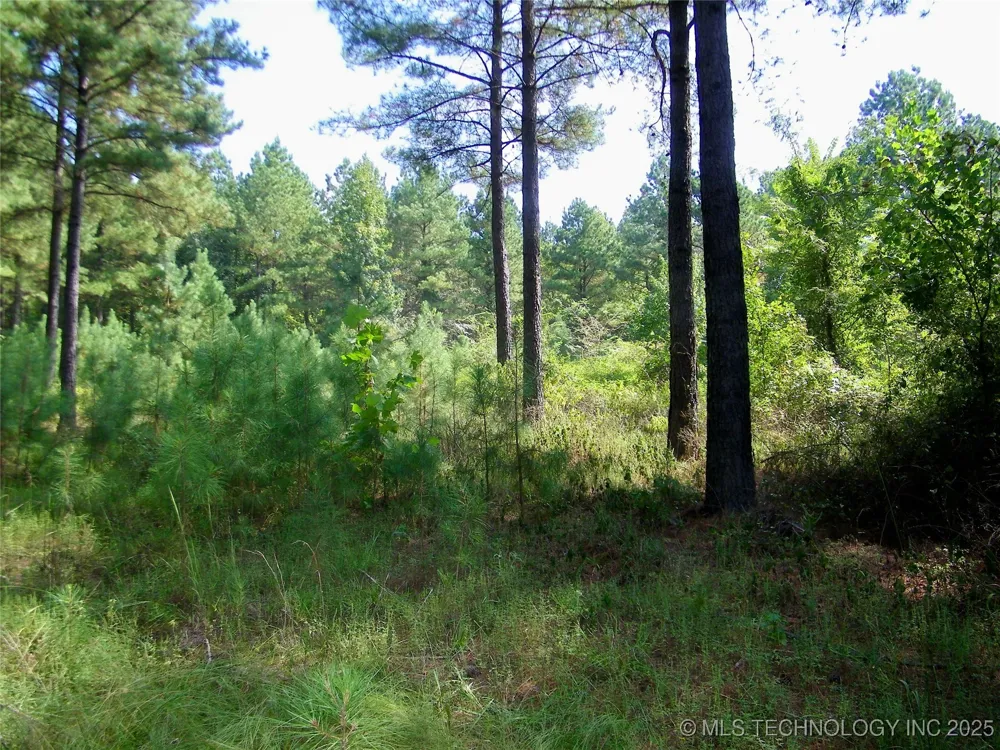 901 Sycamore Loop Broken Bow, OK 74728