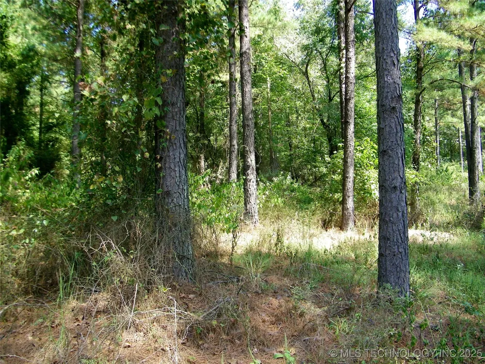901 Sycamore Loop Broken Bow, OK 74728