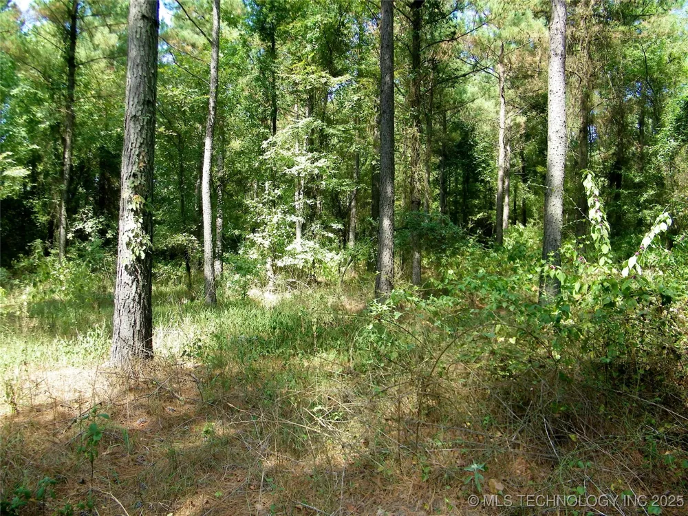 901 Sycamore Loop Broken Bow, OK 74728