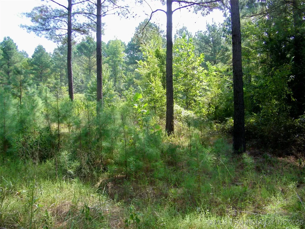901 Sycamore Loop Broken Bow, OK 74728