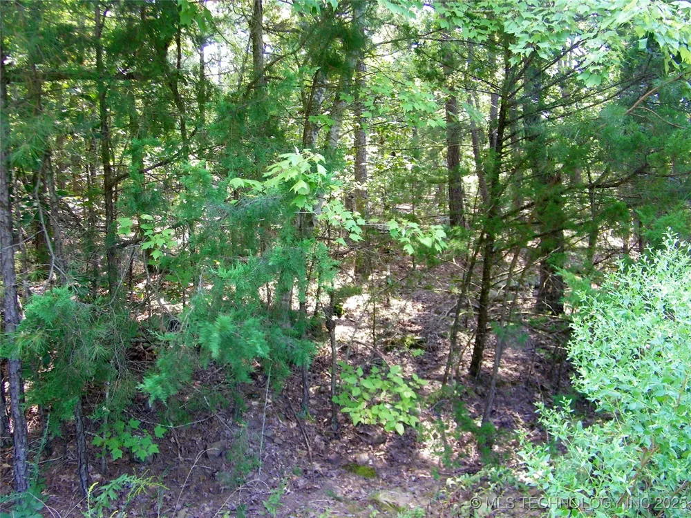 901 Sycamore Loop Broken Bow, OK 74728