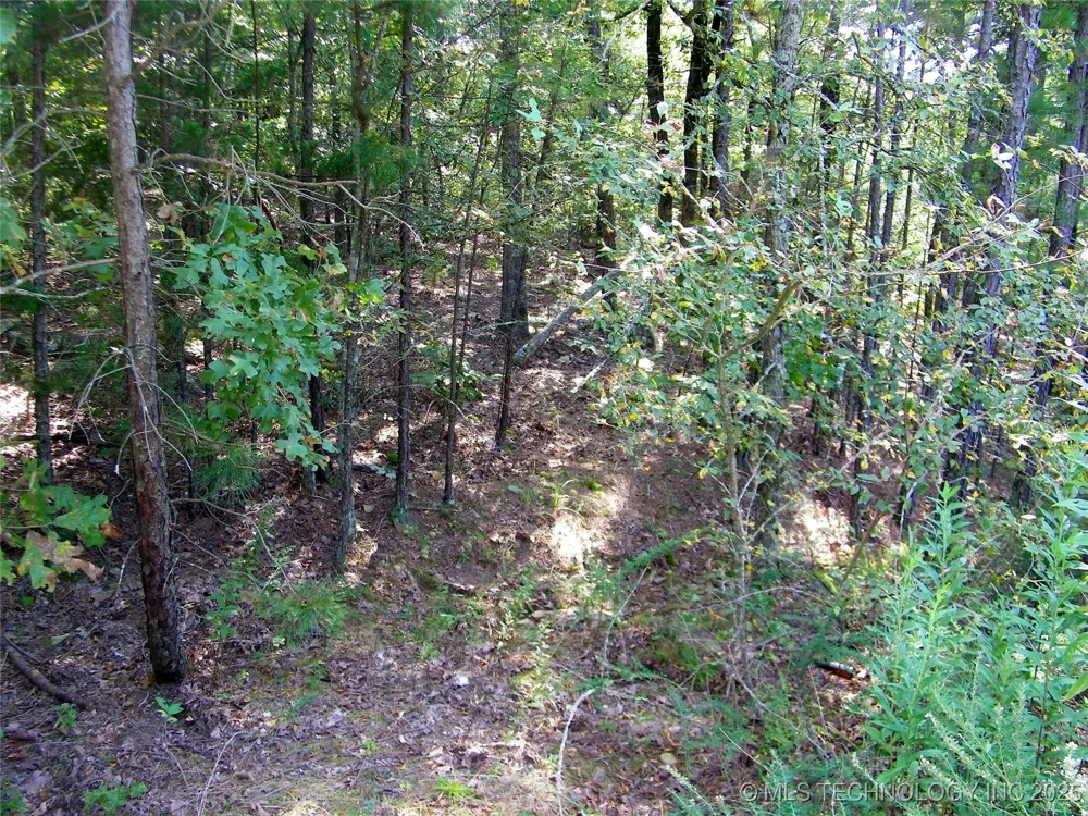 901 Sycamore Loop Broken Bow, OK 74728
