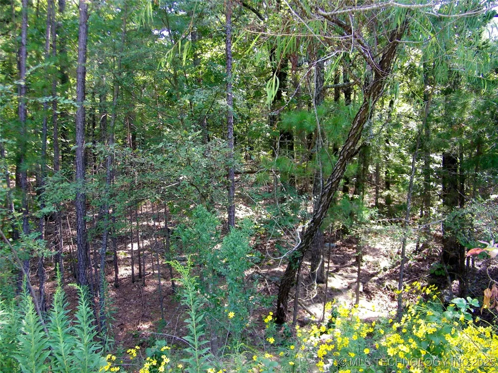 901 Sycamore Loop Broken Bow, OK 74728