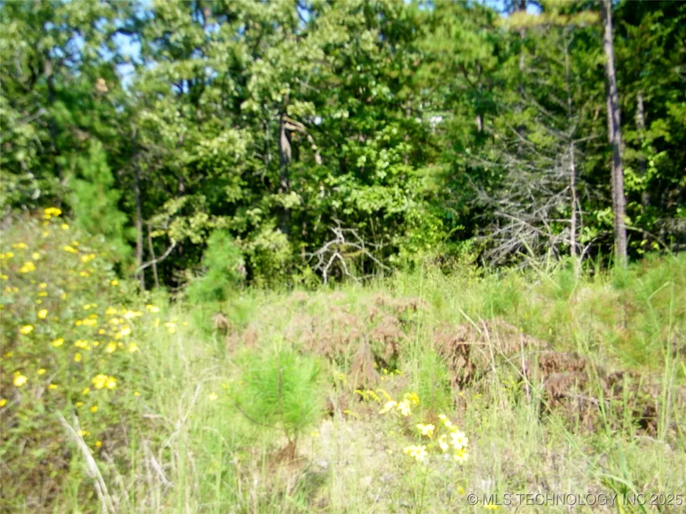 901 Sycamore Loop Broken Bow, OK 74728