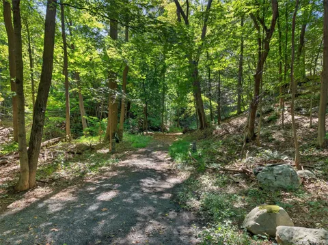 331 Mountain Lodge Road