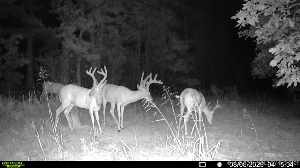 4100 430 ROAD Locust Grove, OK 74352