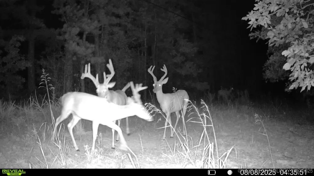 4100 430 ROAD Locust Grove, OK 74352