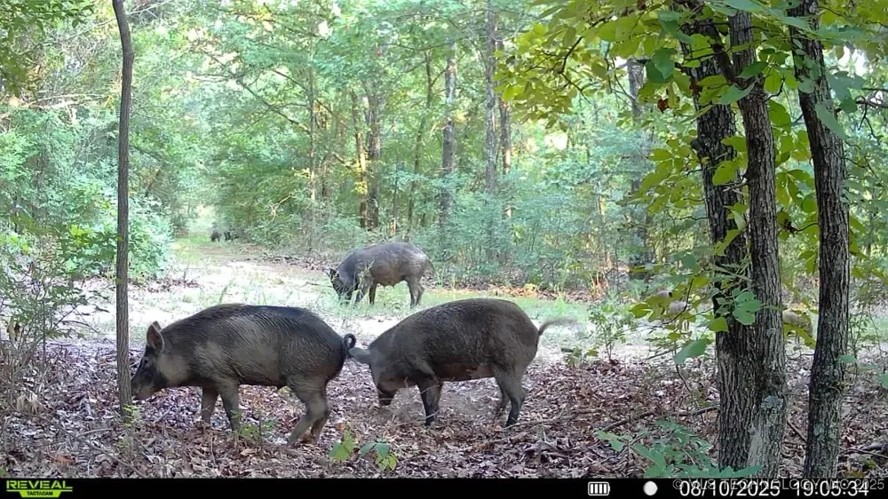 4100 430 ROAD Locust Grove, OK 74352