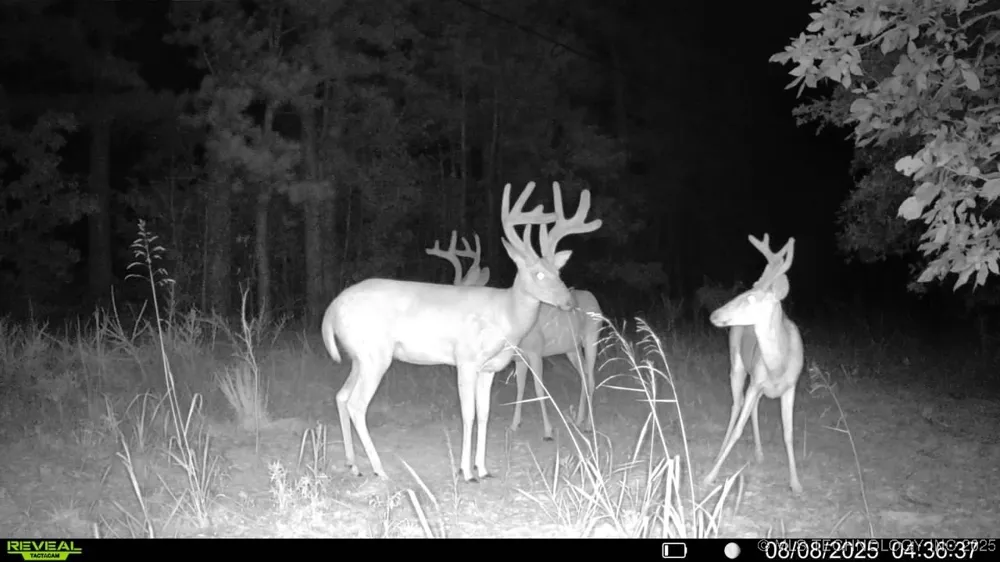 4100 430 ROAD Locust Grove, OK 74352