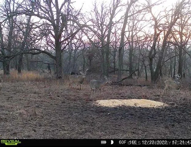 4100 430 ROAD Locust Grove, OK 74352