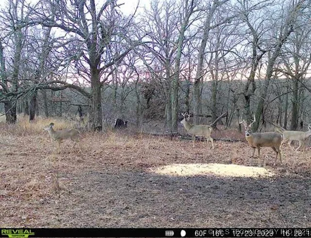 4100 430 ROAD Locust Grove, OK 74352