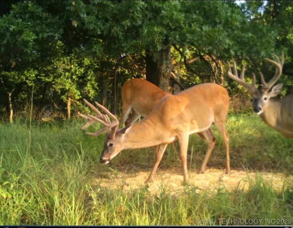 4100 430 ROAD Locust Grove, OK 74352