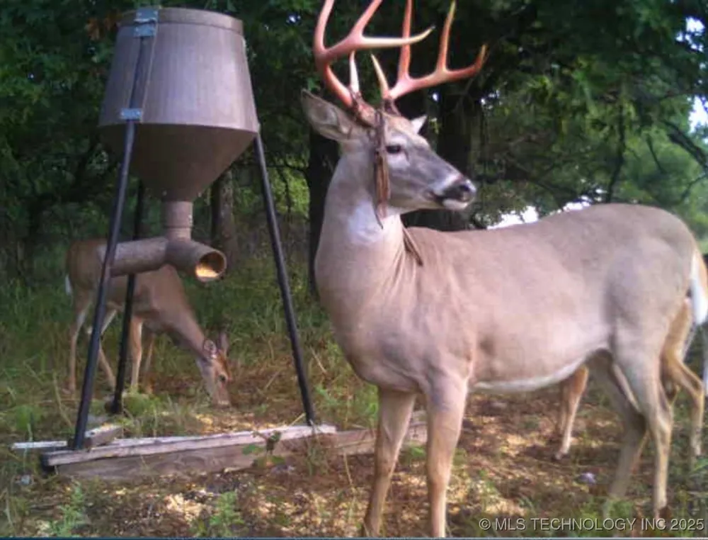 4100 430 ROAD Locust Grove, OK 74352
