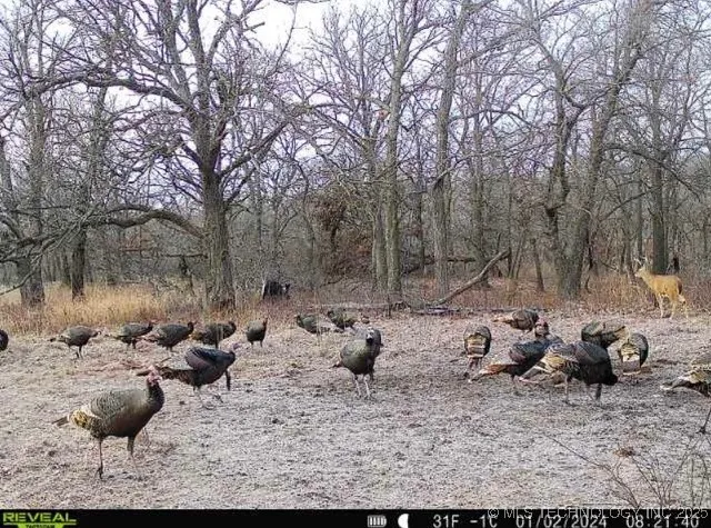 4100 430 ROAD Locust Grove, OK 74352