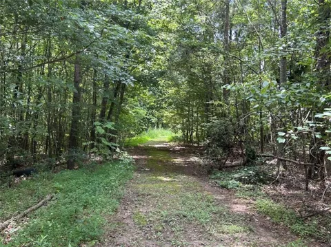 4923 Amsler Road
