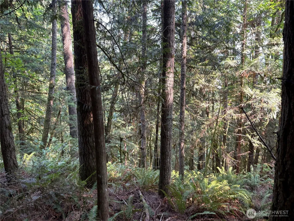 0 NKA Spirit Lake Highway Toutle, WA 98649