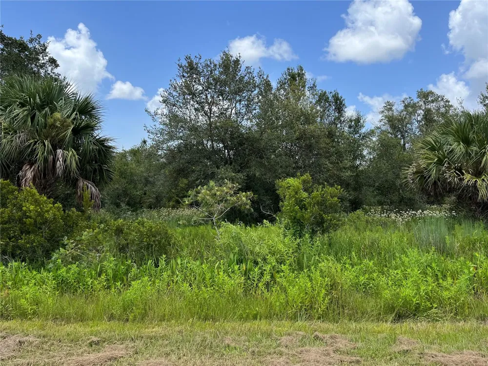 17915 NW 290TH STREET Okeechobee, FL 34972
