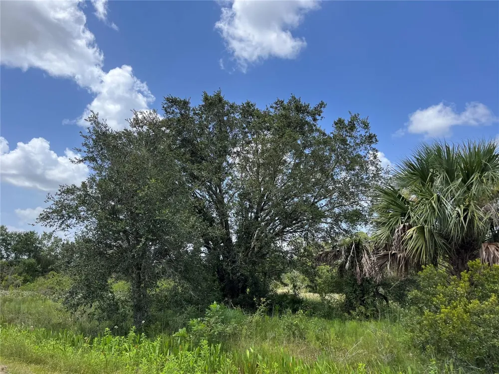 17915 NW 290TH STREET Okeechobee, FL 34972