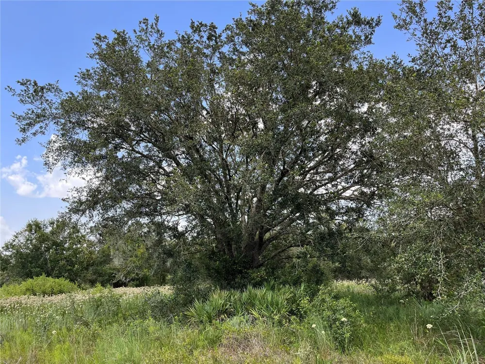 17915 NW 290TH STREET Okeechobee, FL 34972