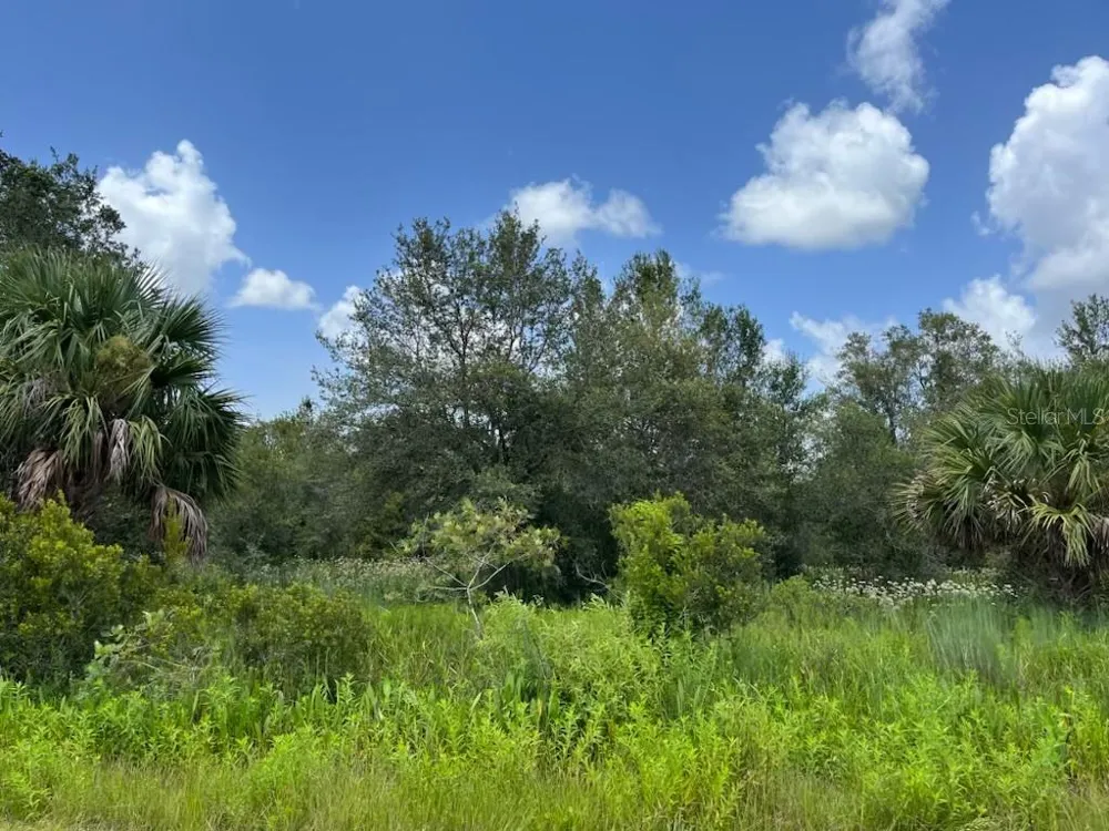 17915 NW 290TH STREET Okeechobee, FL 34972