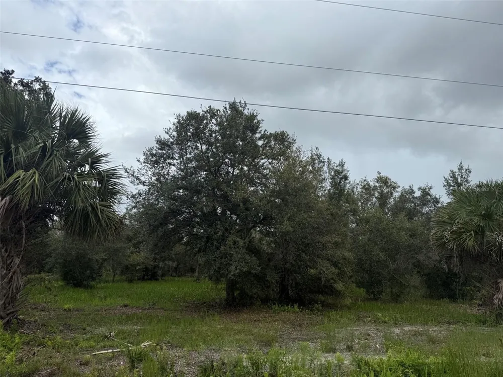 17915 NW 290TH STREET Okeechobee, FL 34972