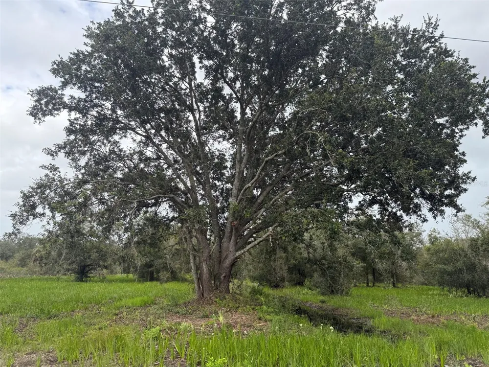 17915 NW 290TH STREET Okeechobee, FL 34972