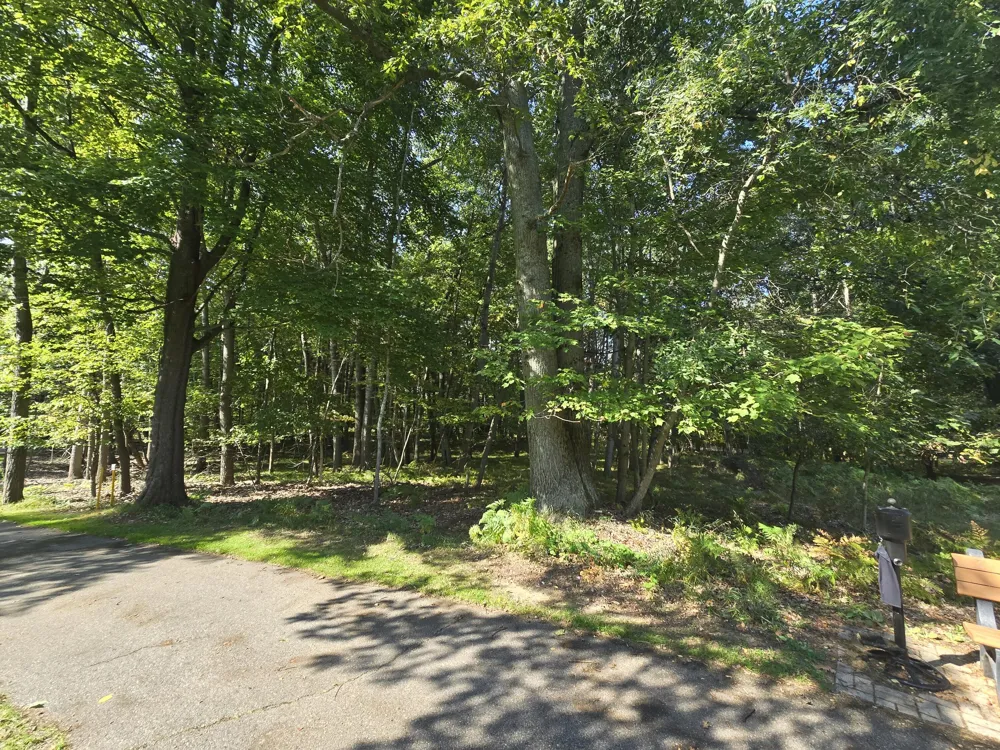 6728 Beechnut Ridge Canadian Lakes, MI 49346
