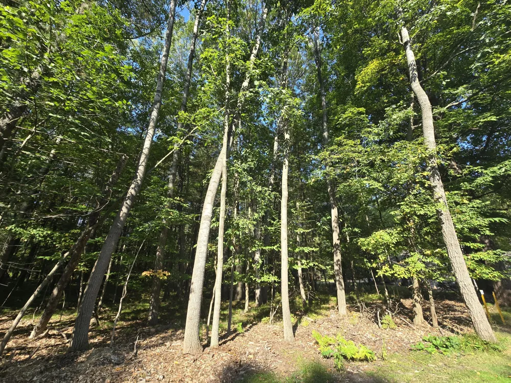 6728 Beechnut Ridge Canadian Lakes, MI 49346