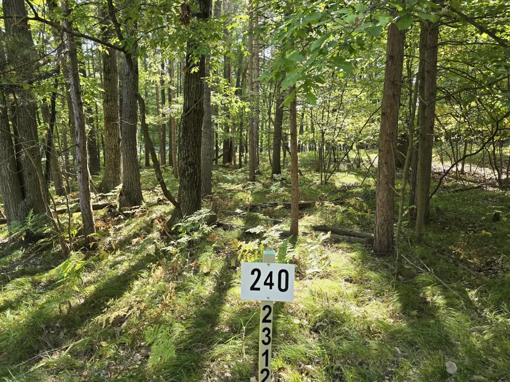 6728 Beechnut Ridge Canadian Lakes, MI 49346