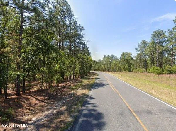 Lot 8 Flowers Road Jackson Springs, NC 27281