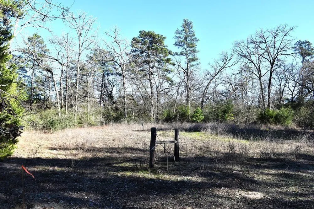 8900 Fm 229 Grapeland, TX 75844