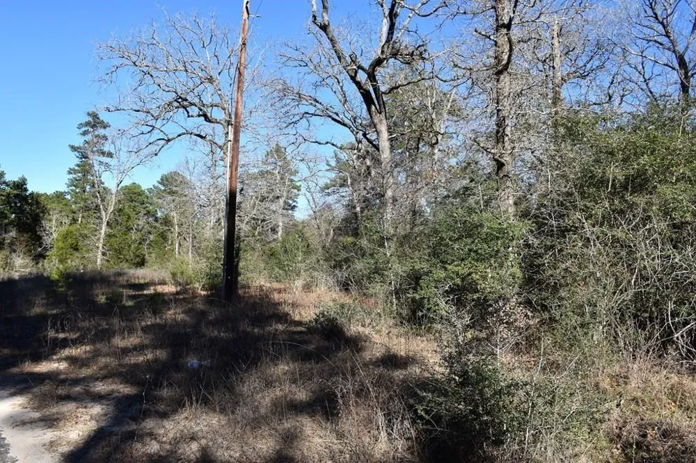 8900 Fm 229 Grapeland, TX 75844