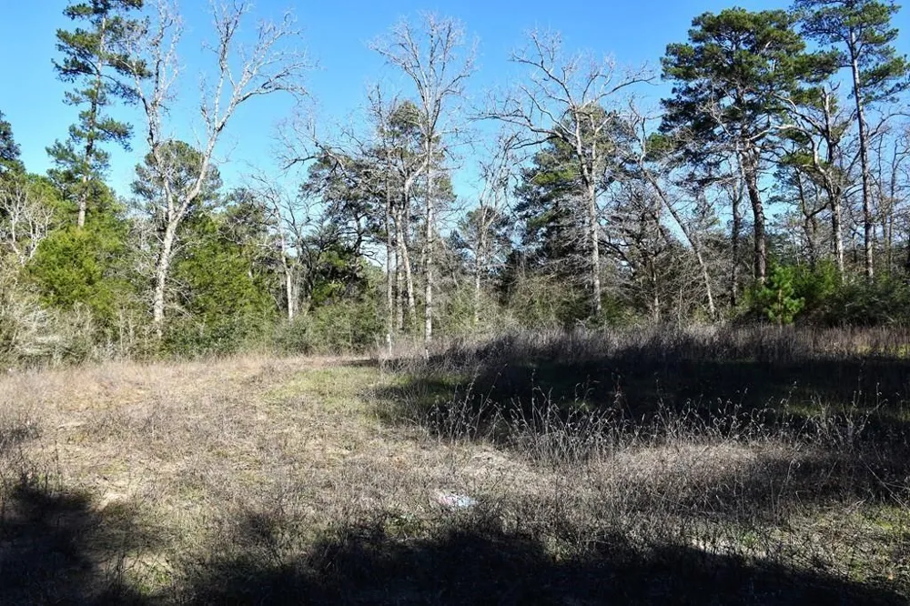 8900 Fm 229 Grapeland, TX 75844