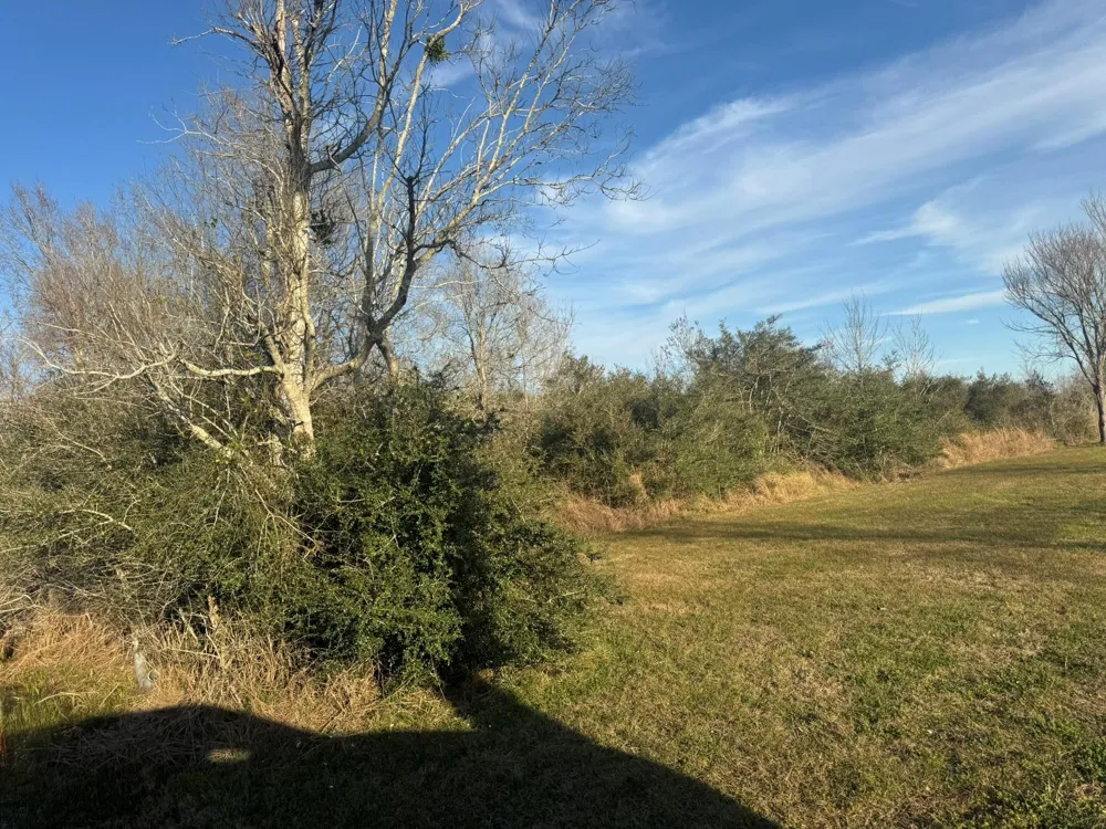 13622 Charlie Roberts Road Kendleton, TX 77451