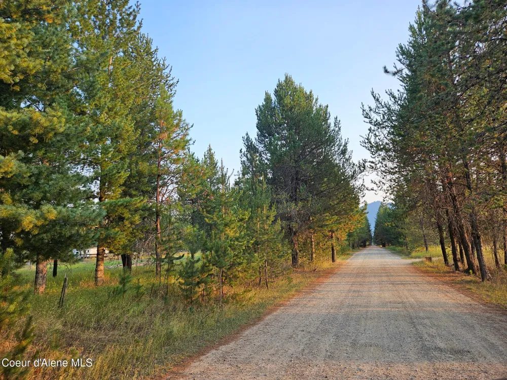 461 Bear Road Priest River, ID 83856
