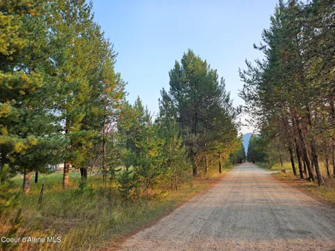 461 Bear Road