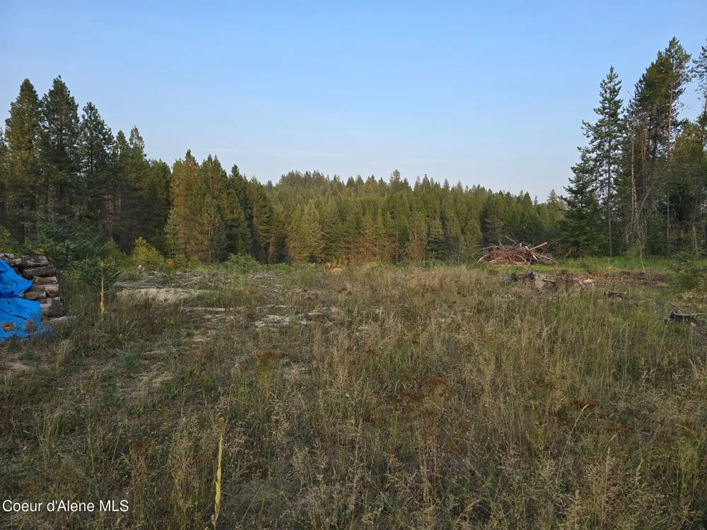 461 Bear Road Priest River, ID 83856