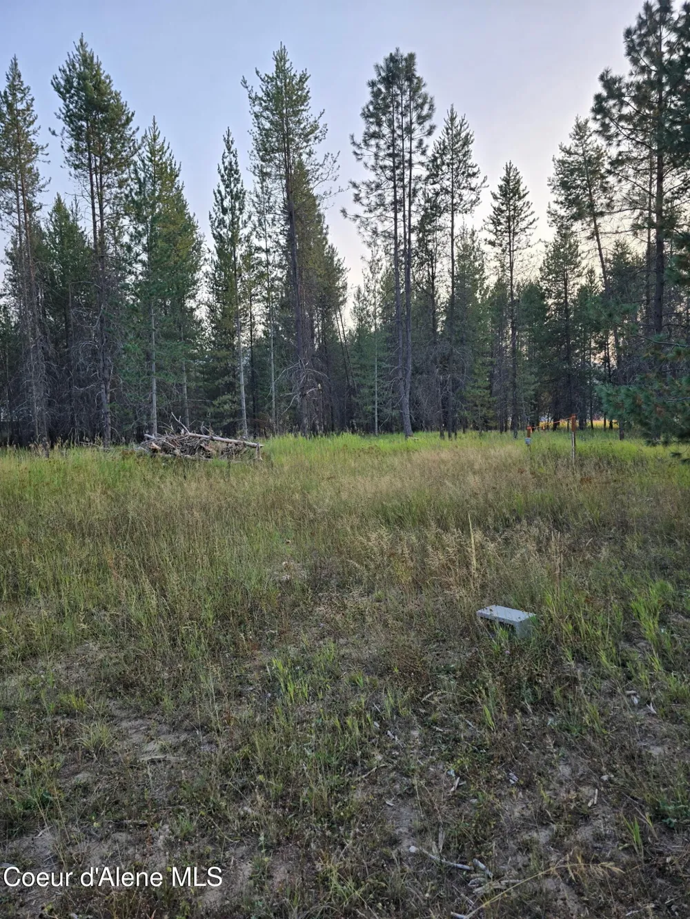 461 Bear Road Priest River, ID 83856