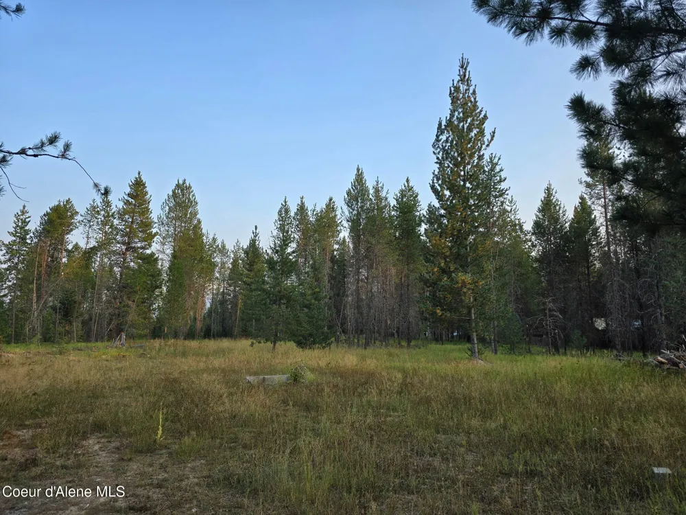 461 Bear Road Priest River, ID 83856