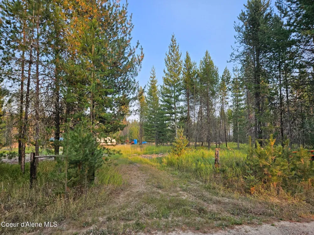 461 Bear Road Priest River, ID 83856