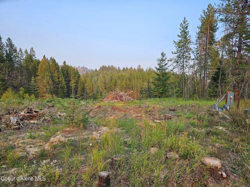 461 Bear Road Priest River, ID 83856
