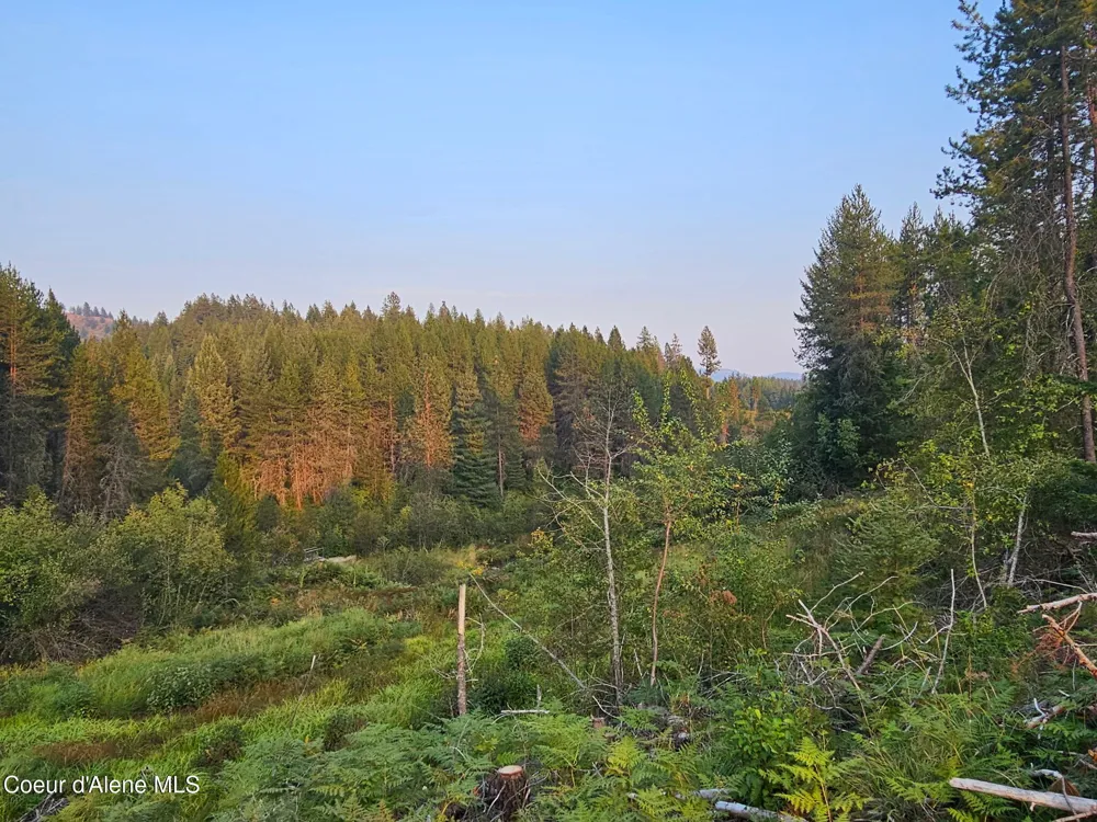 461 Bear Road Priest River, ID 83856