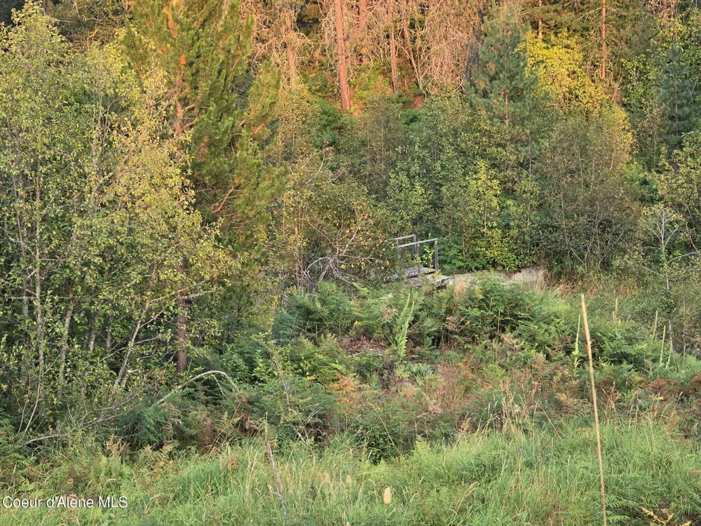 461 Bear Road Priest River, ID 83856