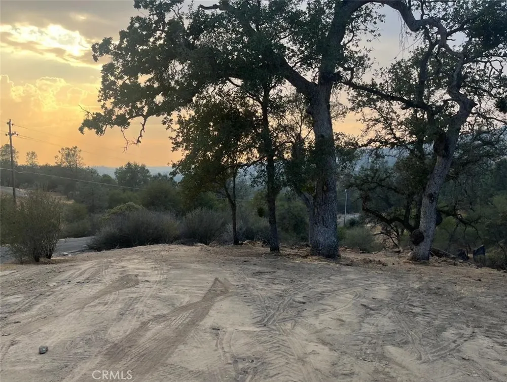 1703 Long Hollow Drive Coarsegold, CA 93614